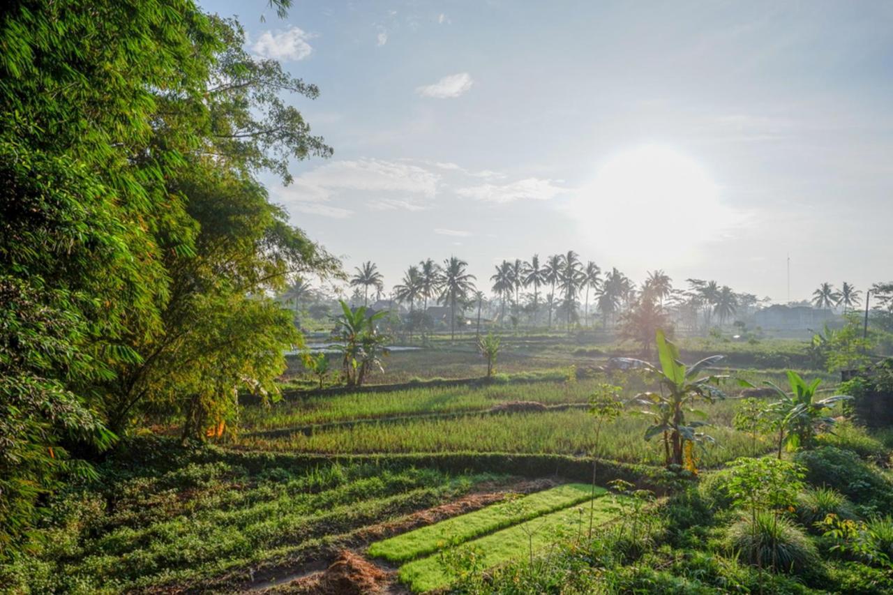 RedDoorz Syariah at Omah Sawah Hotel Balong  Bagian luar foto